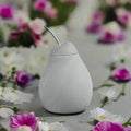 Brûle-parfum Poire Belle Hélène